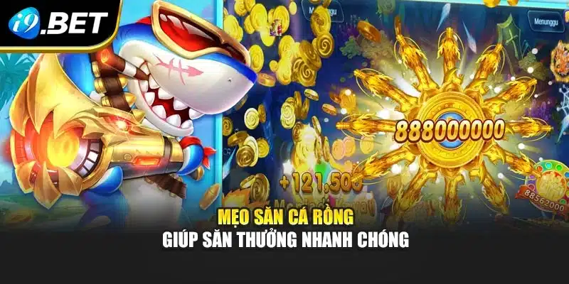 Mẹo săn cá rồng giúp săn thưởng nhanh chóng